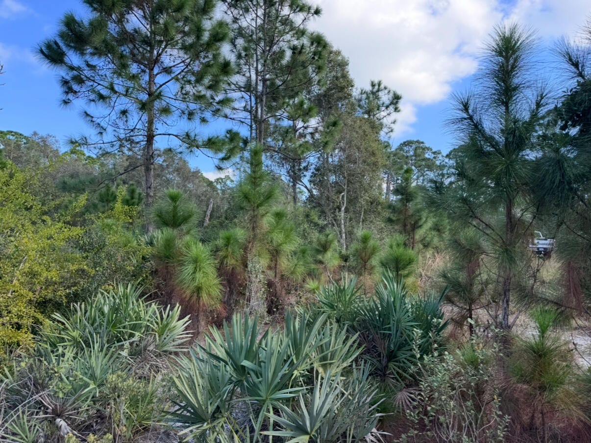0 Tree Top Trail — photo 6