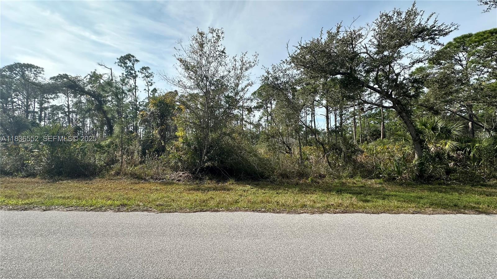 12493 Harlow Avenue, Port Charlotte, FL 33953, Port Charlotte