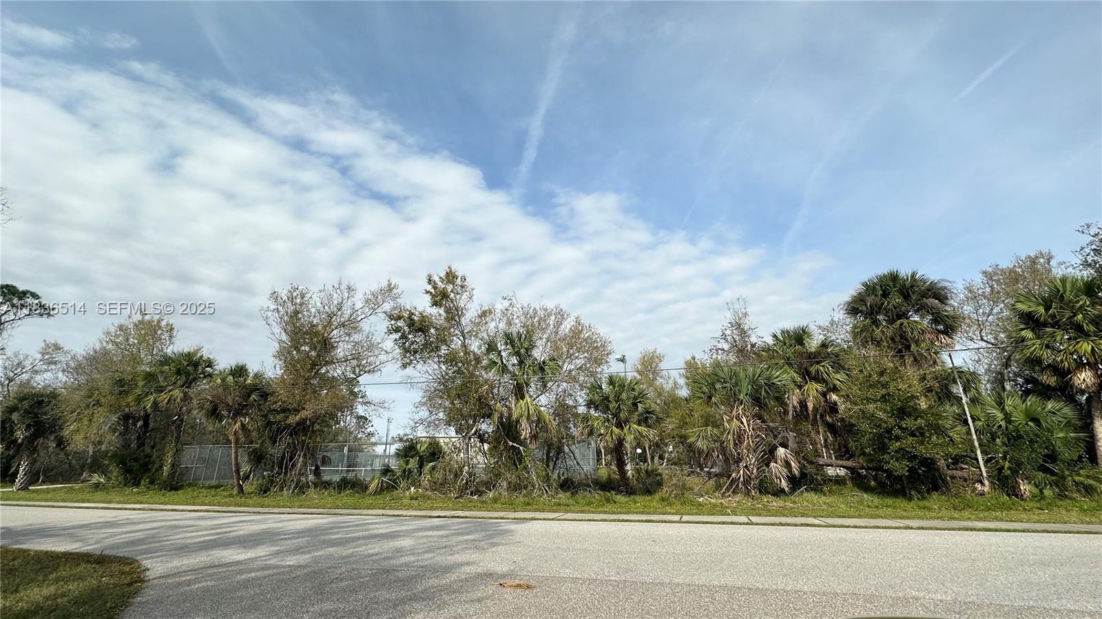 12501 Harlow Avenue, Port Charlotte, FL 33953, Port Charlotte