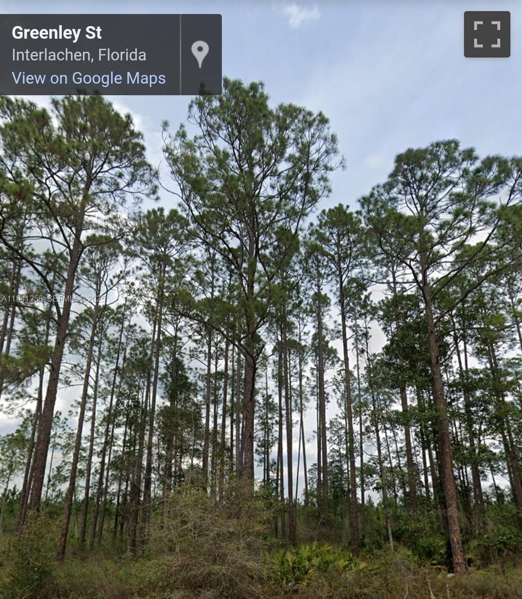 00 Greenley Street, Palatka, FL 32148, Palatka