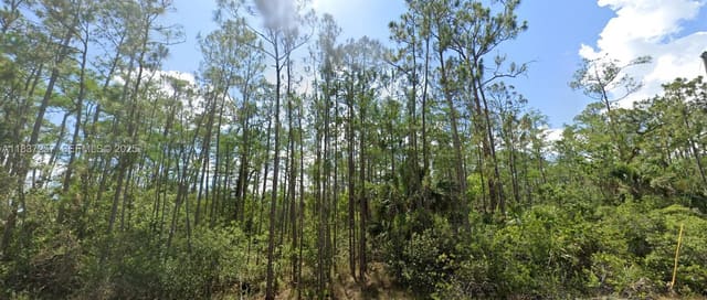 1903 Weller Avenue, Fort Myers, Lehigh Acres, FL