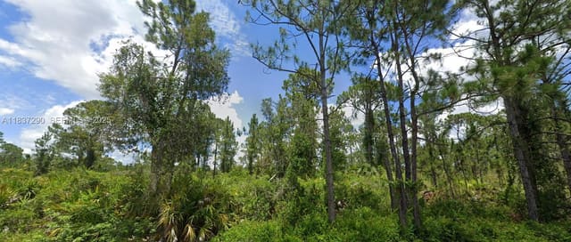 3312 69th Street W, Fort Myers, Lehigh Acres, FL