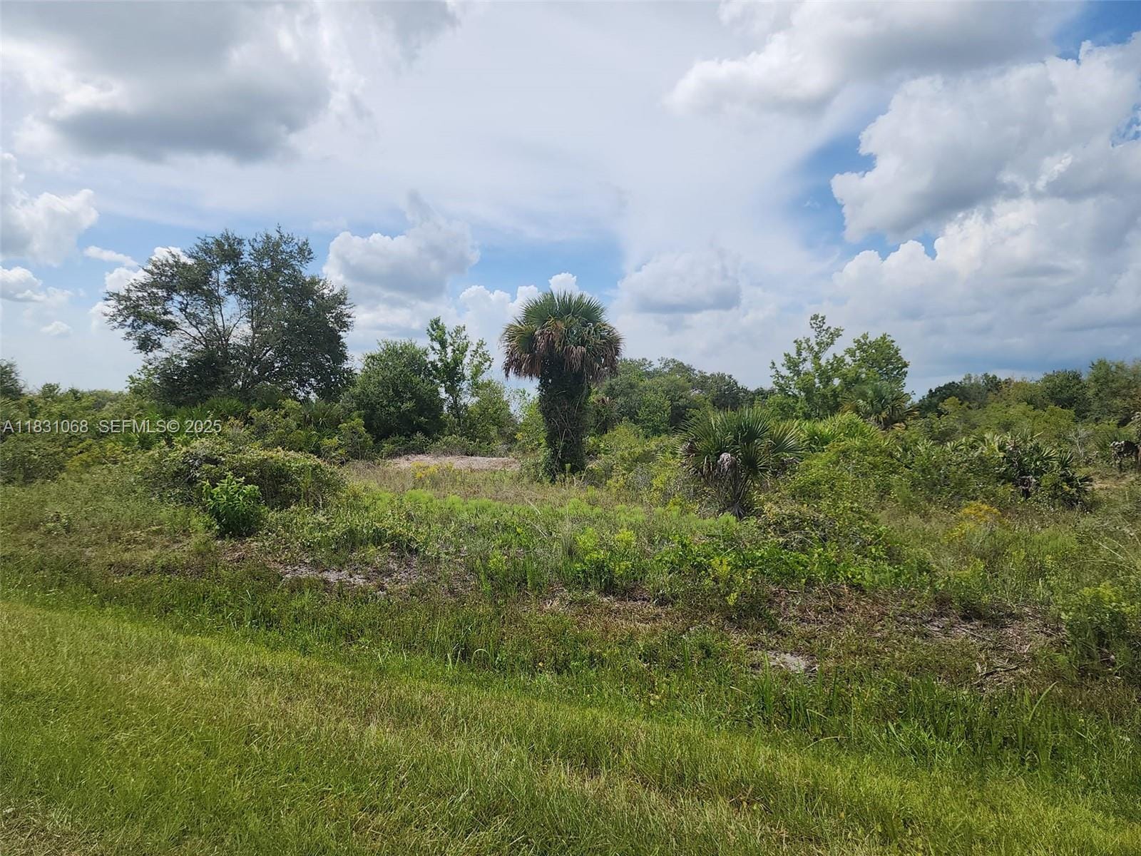 17823 NW 286 Street, FL 34972