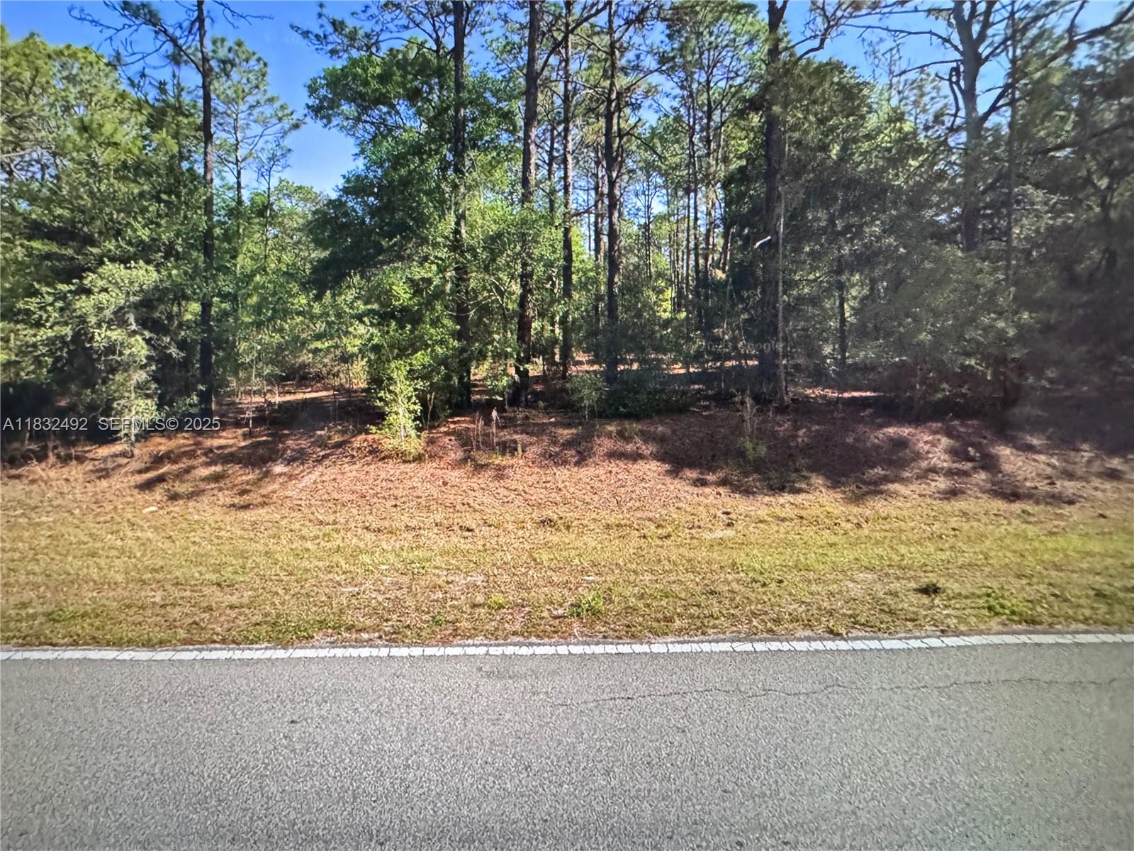 Dunnellon S Undermined, FL 34431, Dunnellon