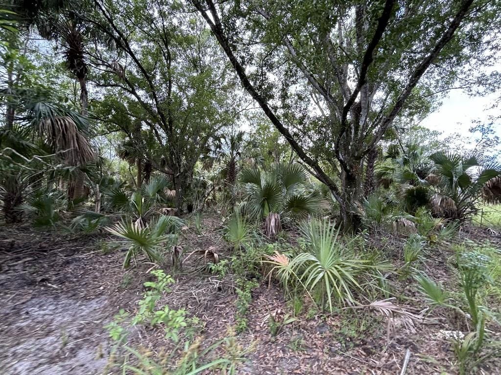 0 Unassigned, Palm City, FL 34990 photo 12