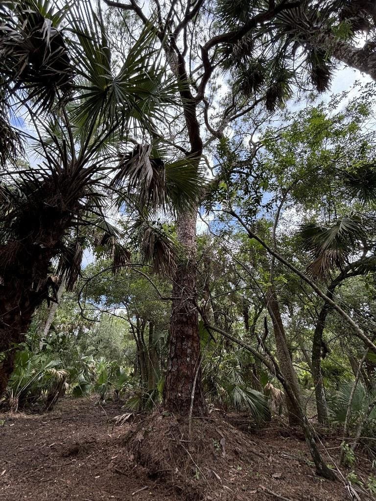 0 Unassigned, Palm City, FL 34990 photo 14