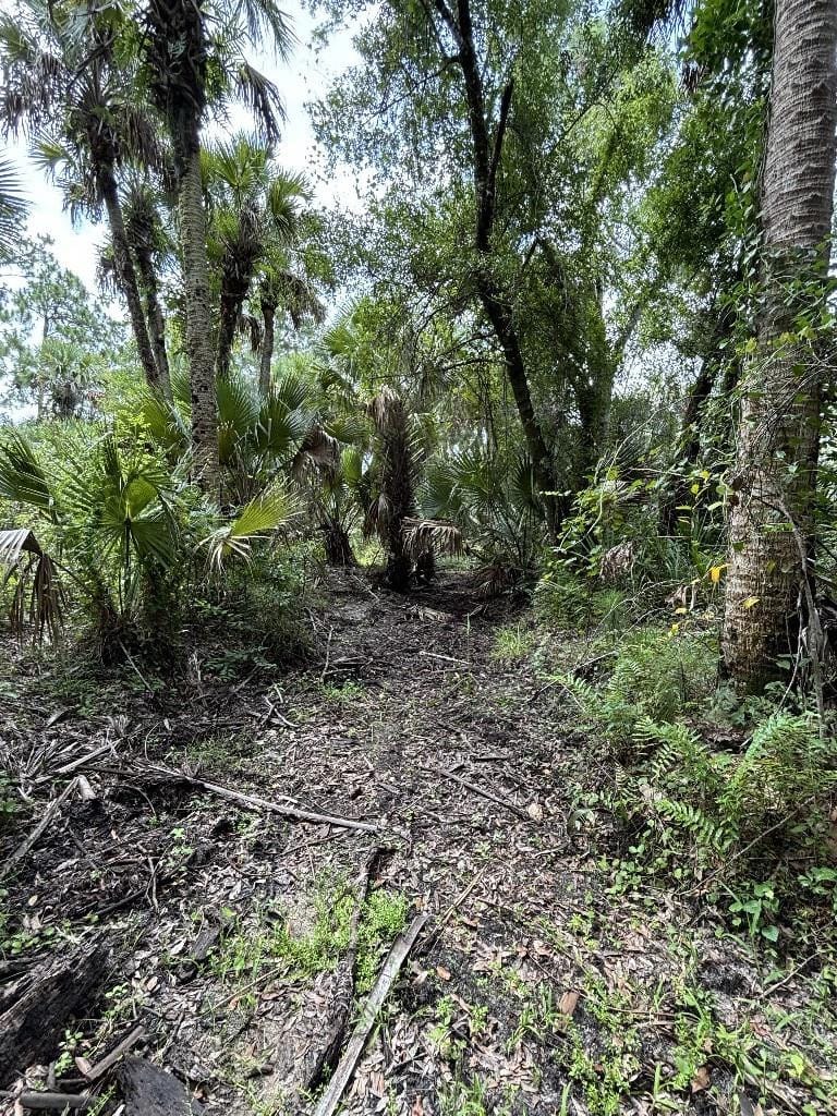 0 Unassigned, Palm City, FL 34990 photo 18