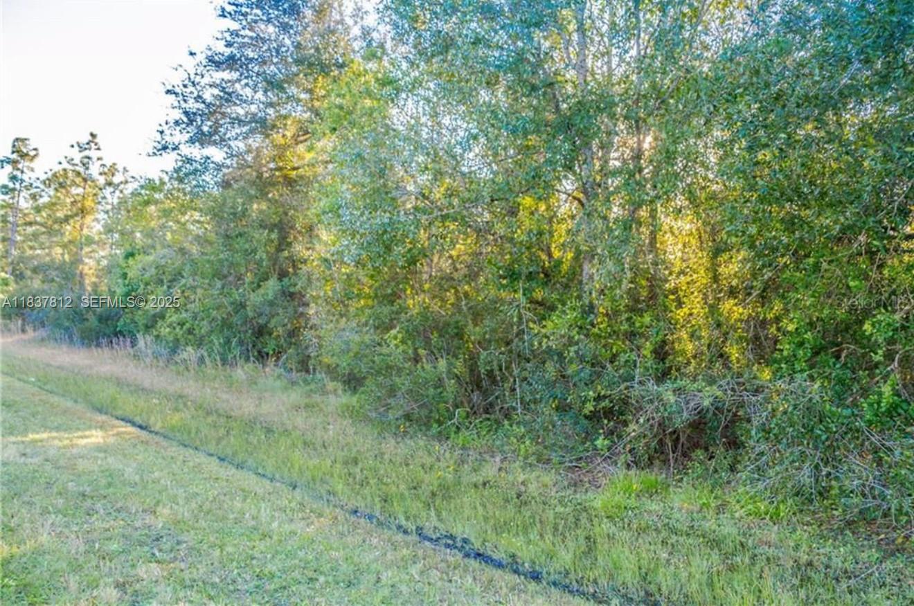 0 N Dallas Boulevard, Orlando, FL 32833, Orlando