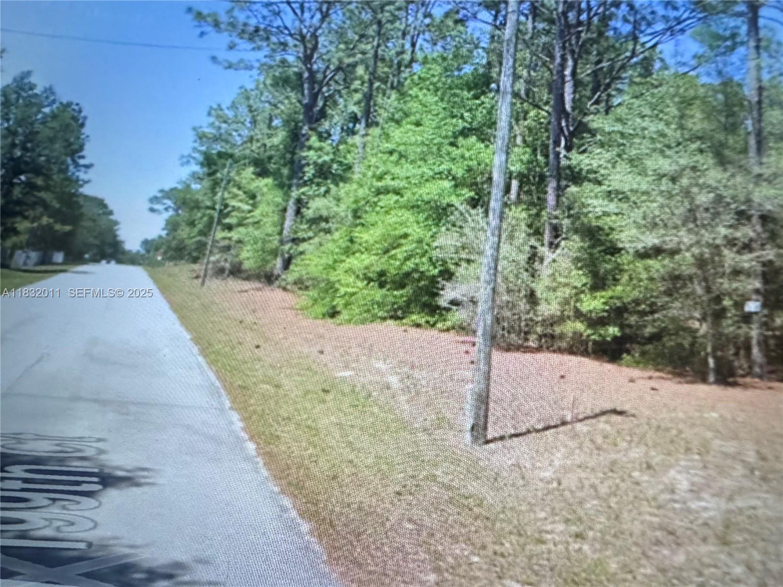 5565 SW SW 199th Court, FL 34431, Dunnellon
