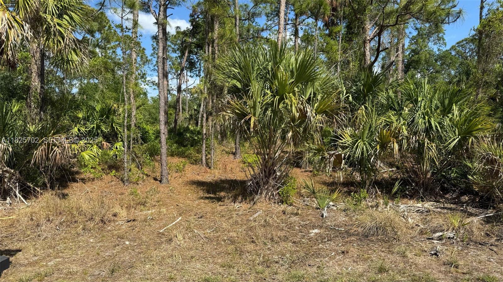 272 Ellington Street, Port Charlotte, FL 33953, Port Charlotte