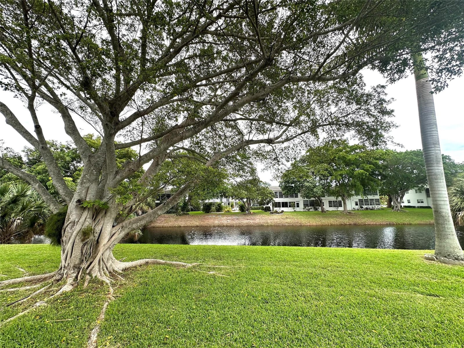 57 Markham C 57, Deerfield Beach, FL 33442