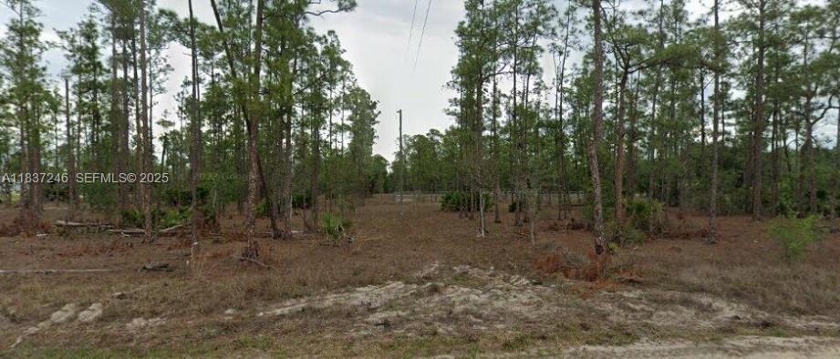 2005 E 13th Street, Lehigh Acres, FL 33971