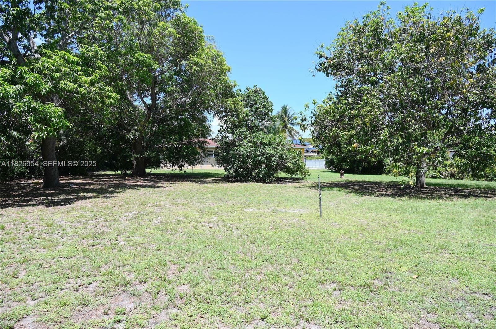 13701 NW 1st Avenue, Miami, FL 33168 photo 3