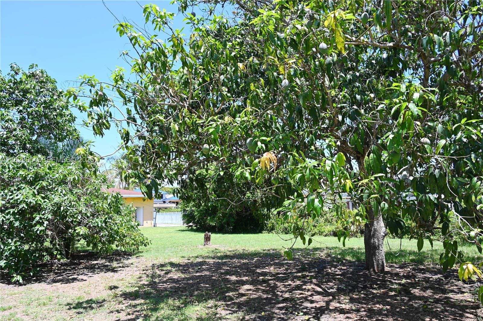 13701 NW 1st Avenue, Miami, FL 33168 photo 21