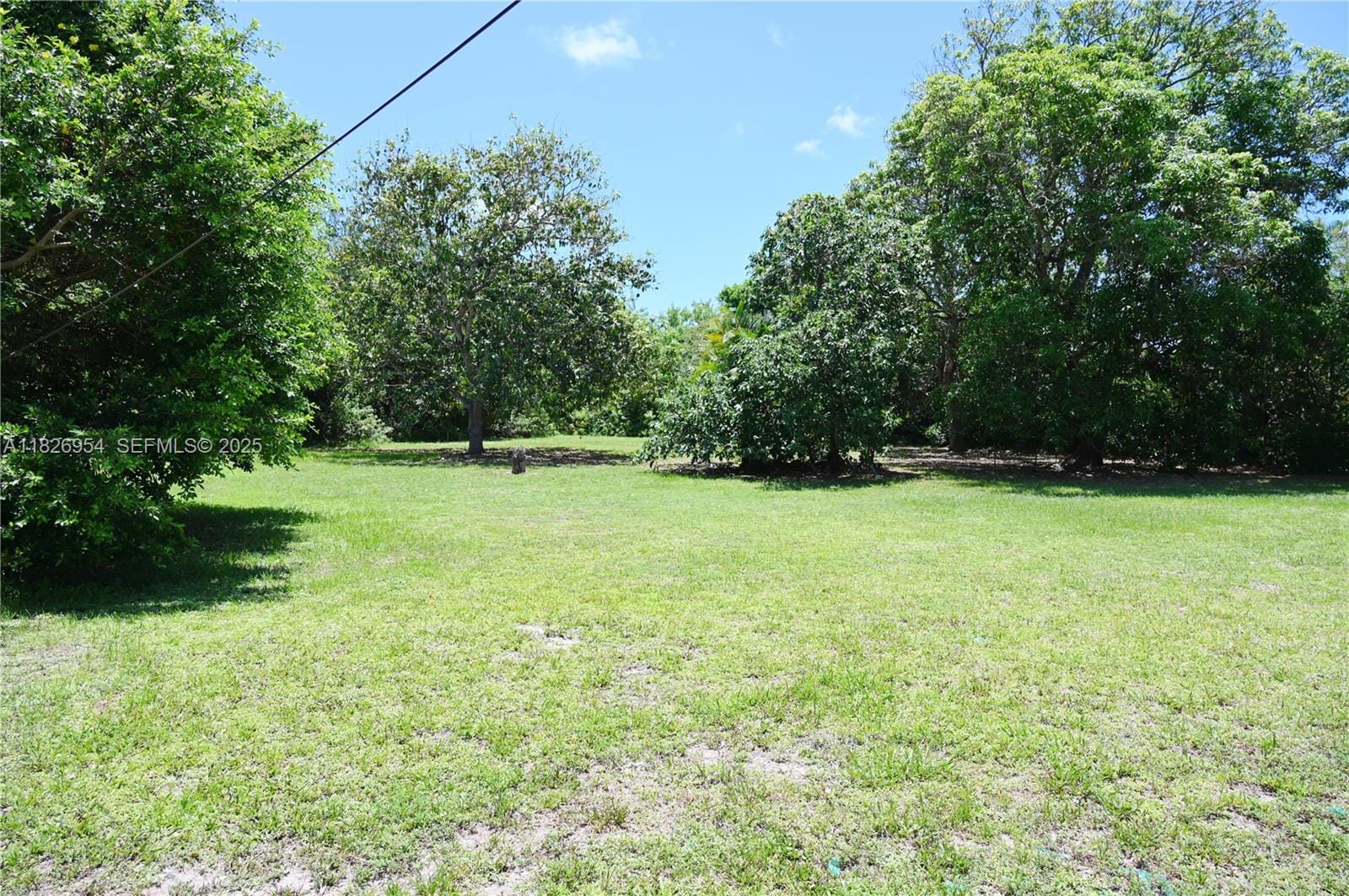 13701 NW 1st Avenue, Miami, FL 33168 photo 4