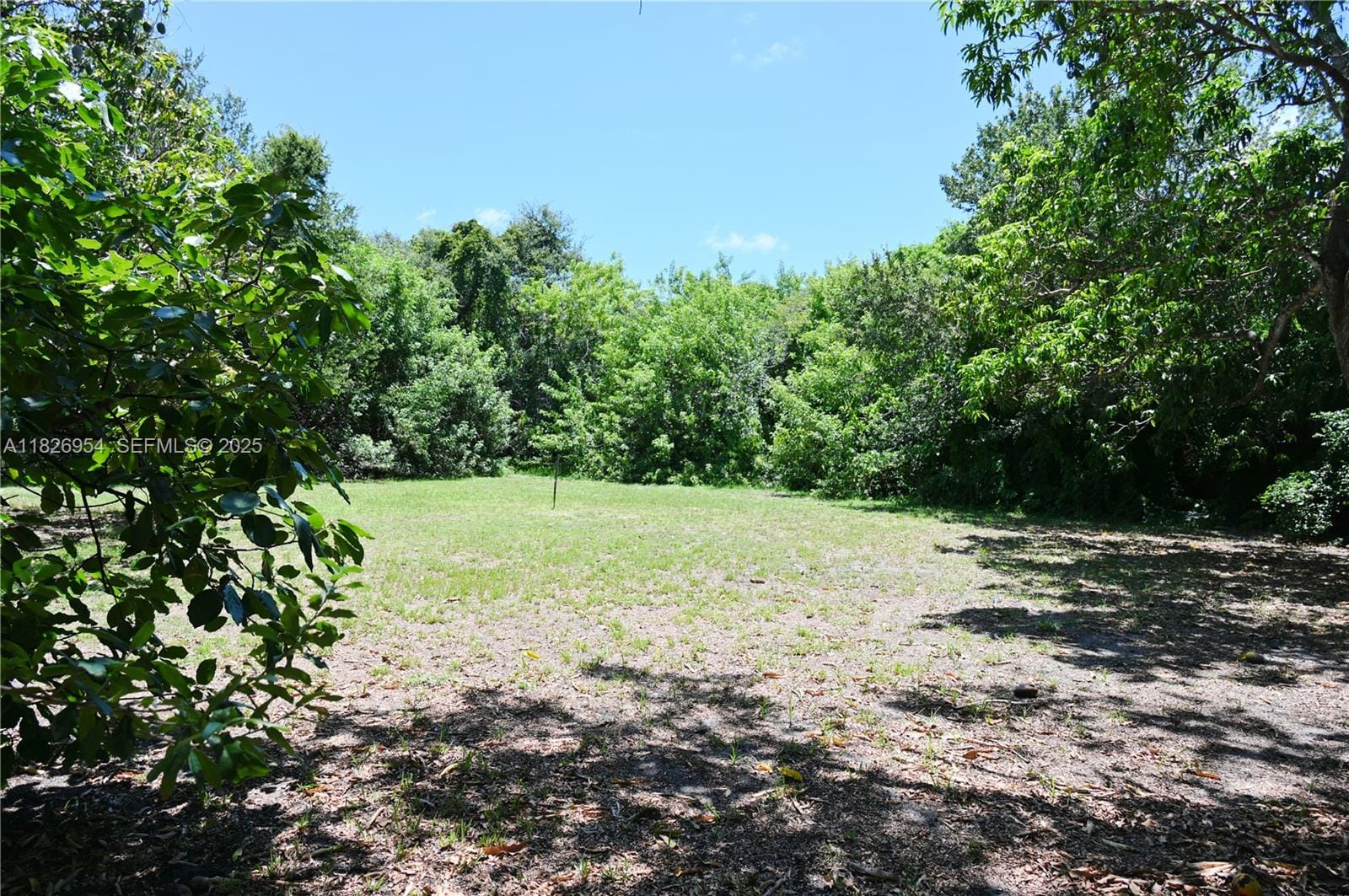 13701 NW 1st Avenue, Miami, FL 33168 photo 6