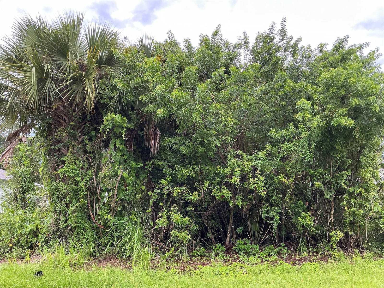 737 Rolling Hill Drive, Sebastian, FL 32958