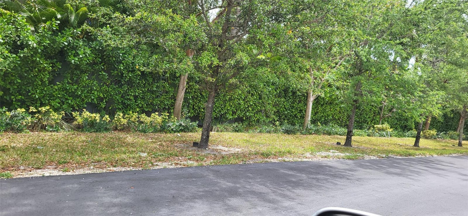 2495 NW 111th Street, Miami, FL 33167 photo 8