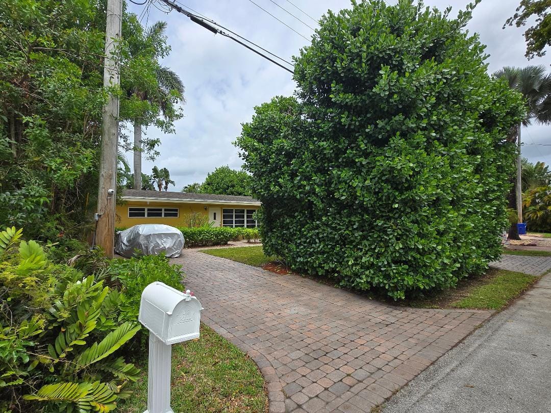 2503 Andros Lane — photo 11