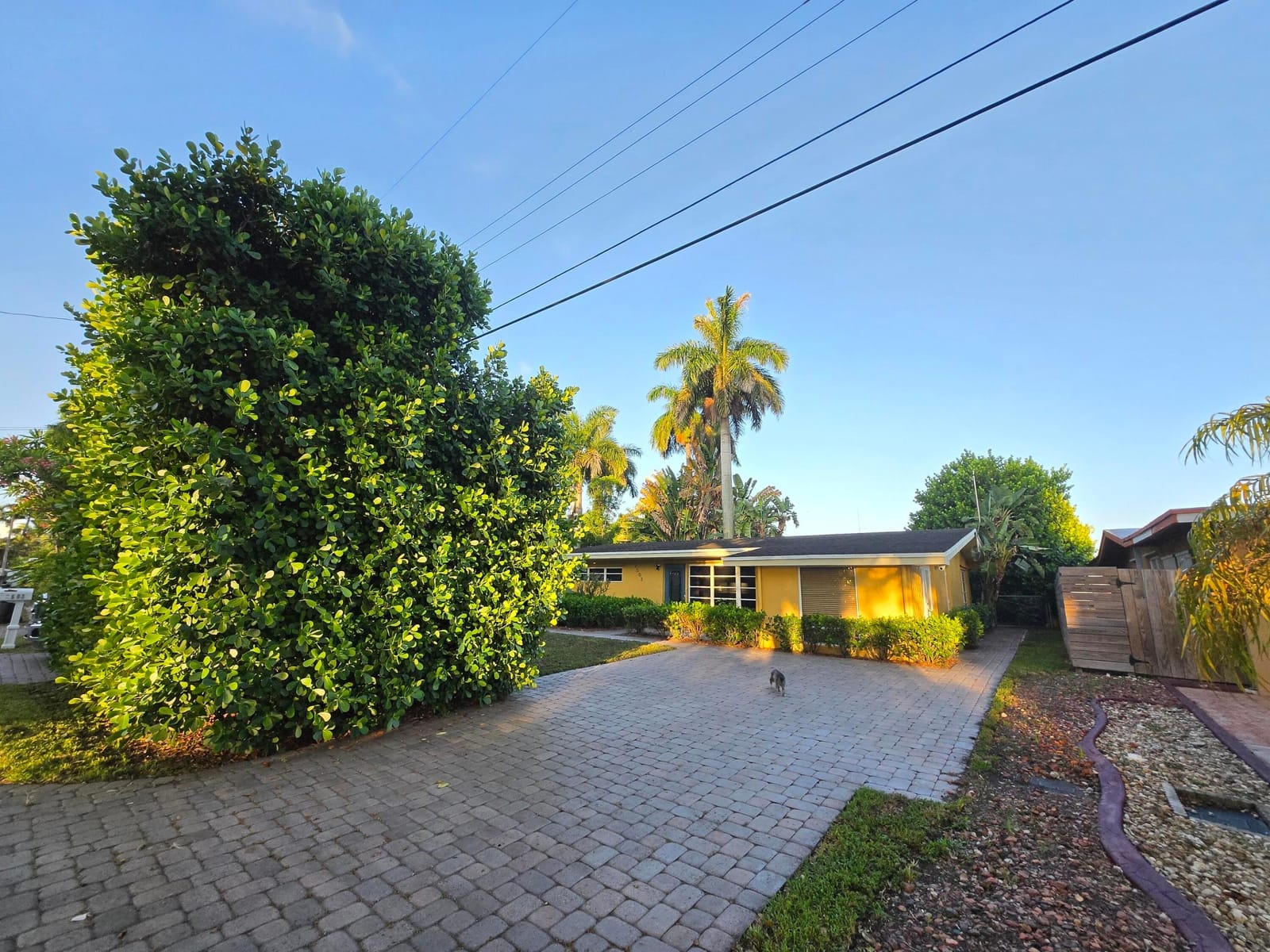 2503 Andros Lane — photo 3
