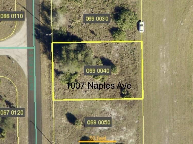 1007 Naples Avenue, Lehigh Acres, FL 33974 photo 2