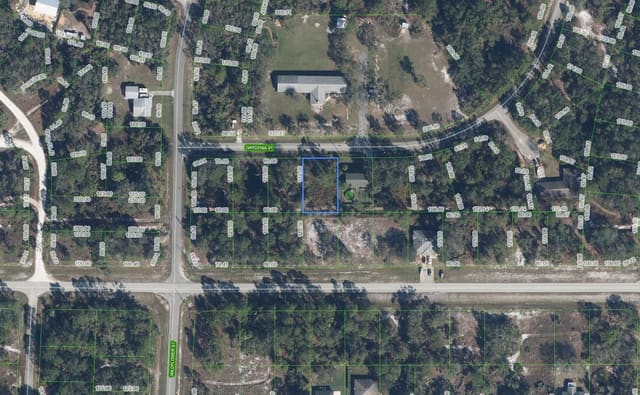 805 Gardenia Street, Lake Placid, FL 33852