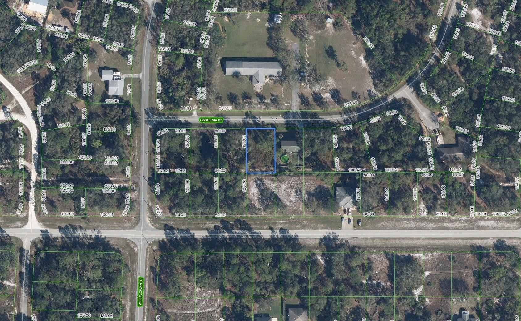 805 Gardenia Street, Lake Placid, FL 33852, Lake Placid