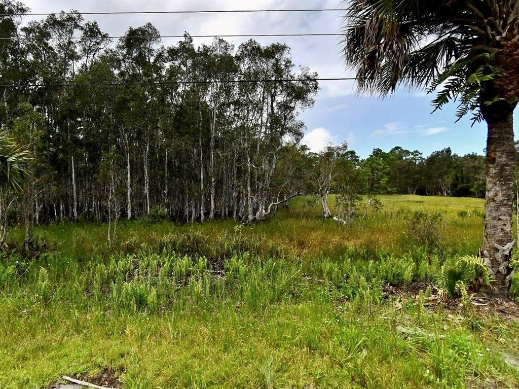 Silver Oak Drive, Port St. Lucie, FL 34952, Port St Lucie