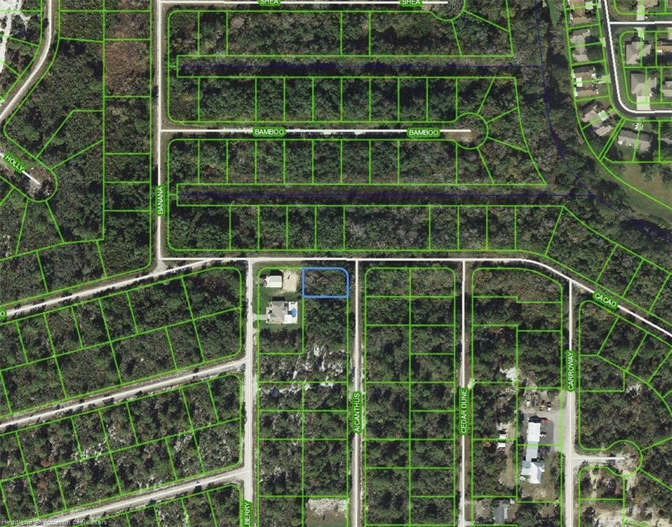 1218 Ailanthus Street, Lake Placid, FL 33852, Lake Placid