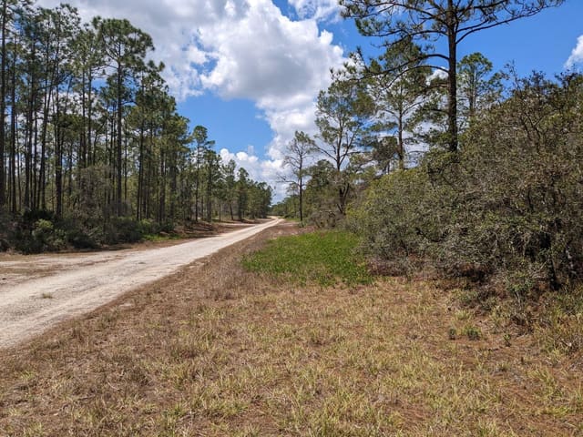 430 Apple Blossom Avenue, Lake Placid, FL 33852