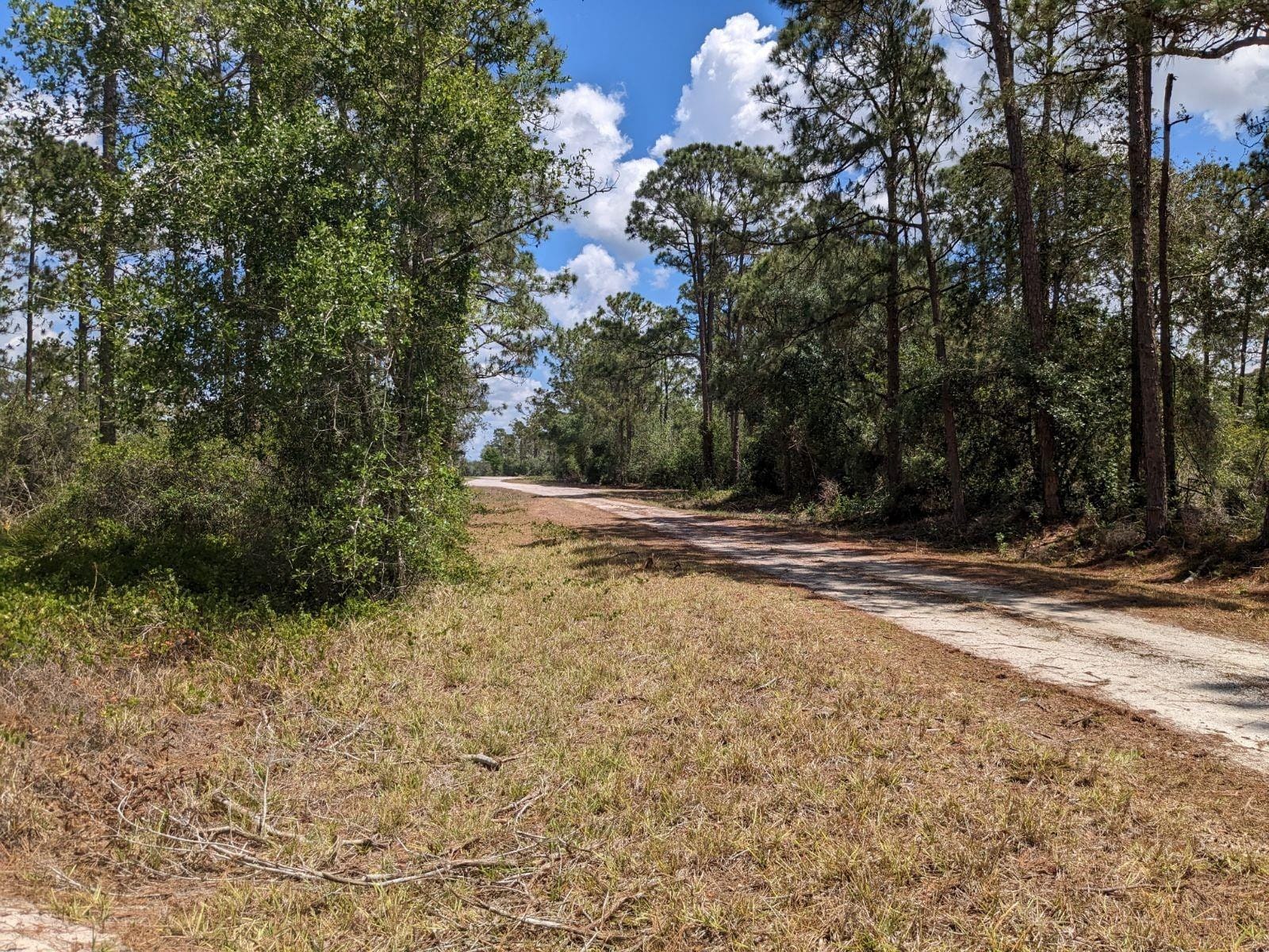 430 Apple Blossom Avenue — photo 2