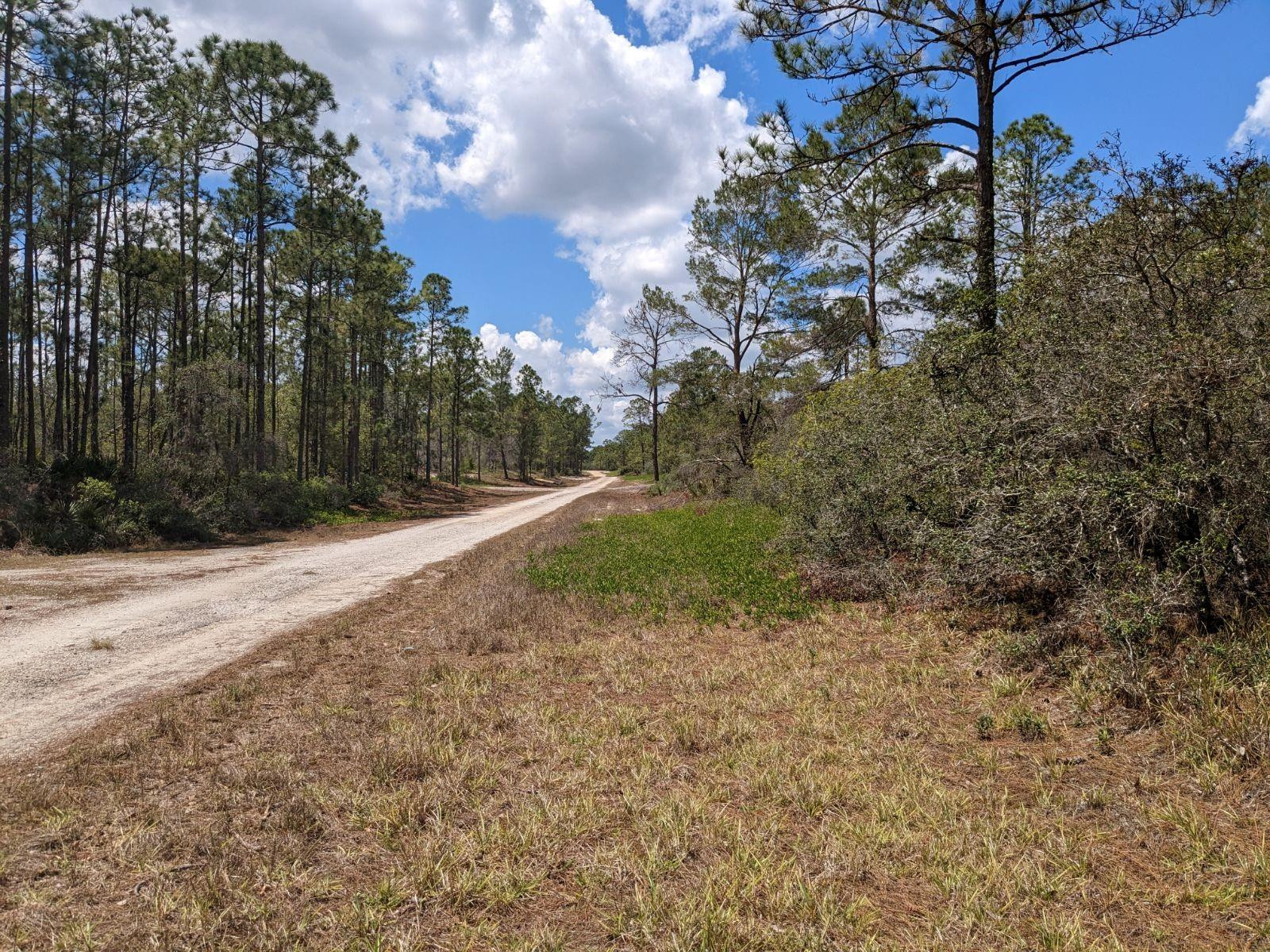 430 Apple Blossom Avenue, Lake Placid, FL 33852, Lake Placid