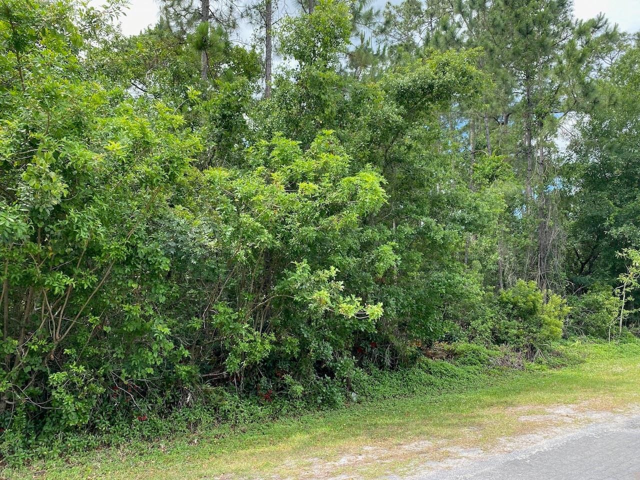 2351 Allamanda Drive — photo 2