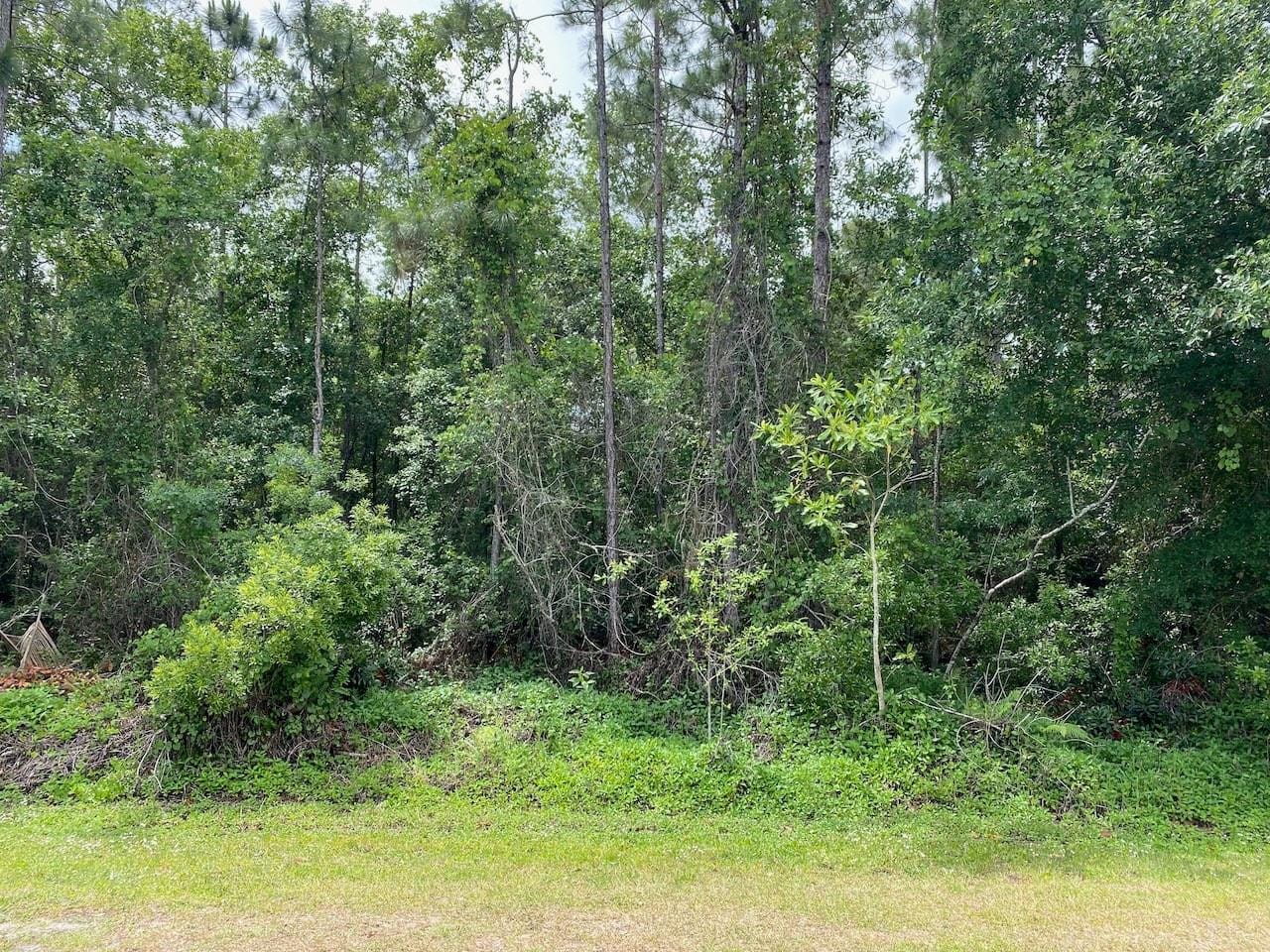 2351 Allamanda Drive — photo 4