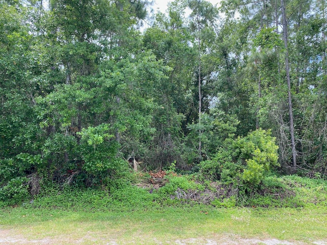 2351 Allamanda Drive, Indian Lake Estates, FL 33855, Indian Lake Estates