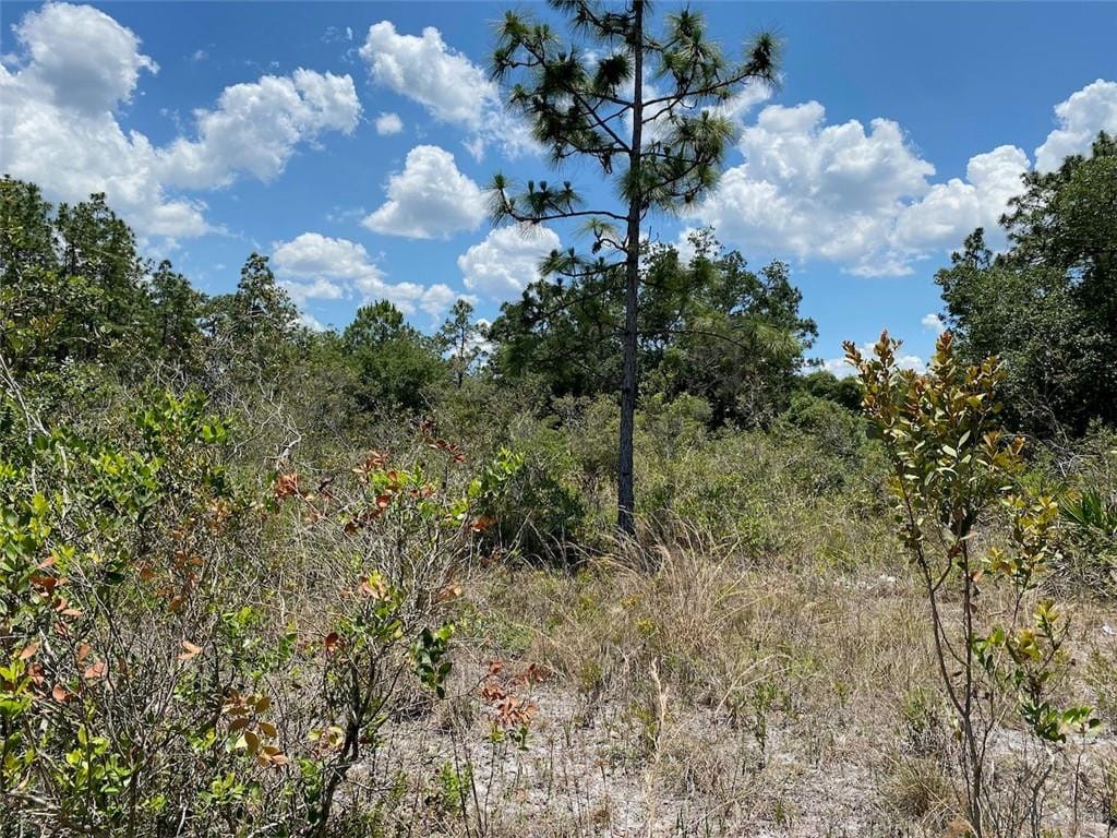 Lot 24 Indian Lake Drive — photo 2