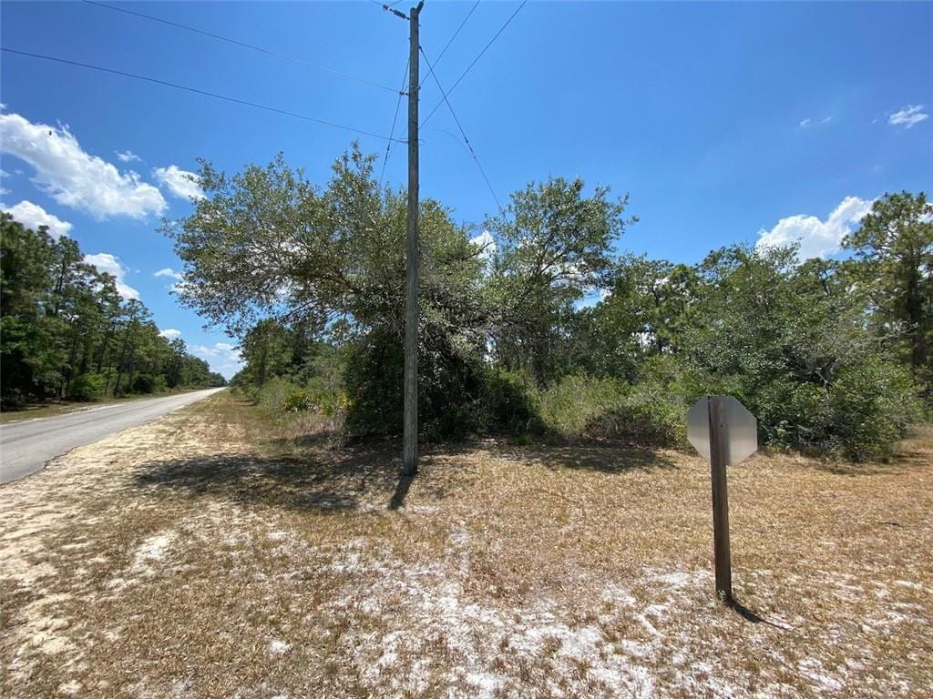 Lot 24 Indian Lake Drive — photo 3