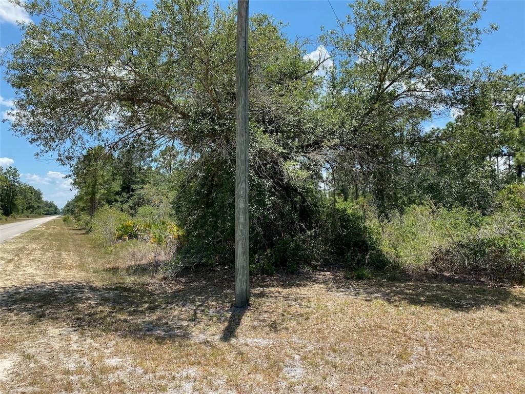 Lot 24 Indian Lake Drive — photo 4