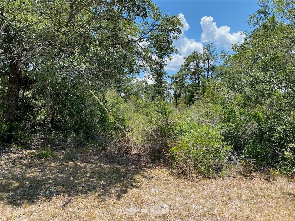 Lot 24 Indian Lake Drive — photo 5