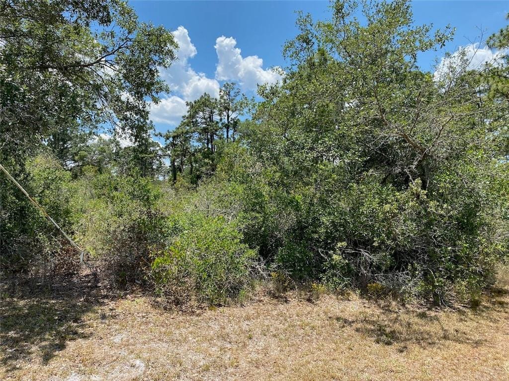 Lot 24 Indian Lake Drive — photo 6