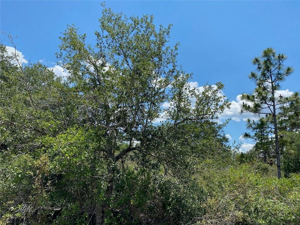 Lot 24 Indian Lake Drive — photo 7