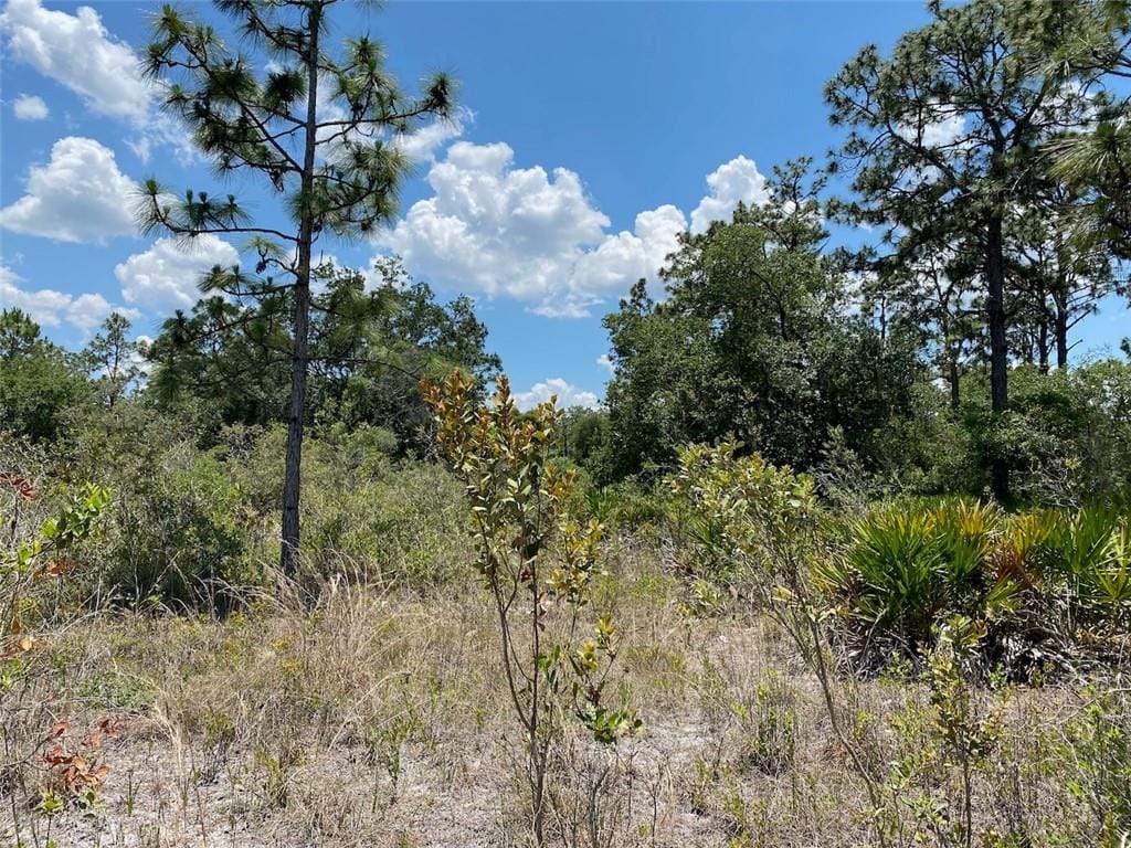 Lot 24 Indian Lake Drive — photo 8