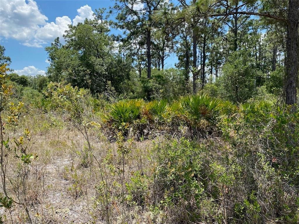 Lot 24 Indian Lake Drive — photo 9
