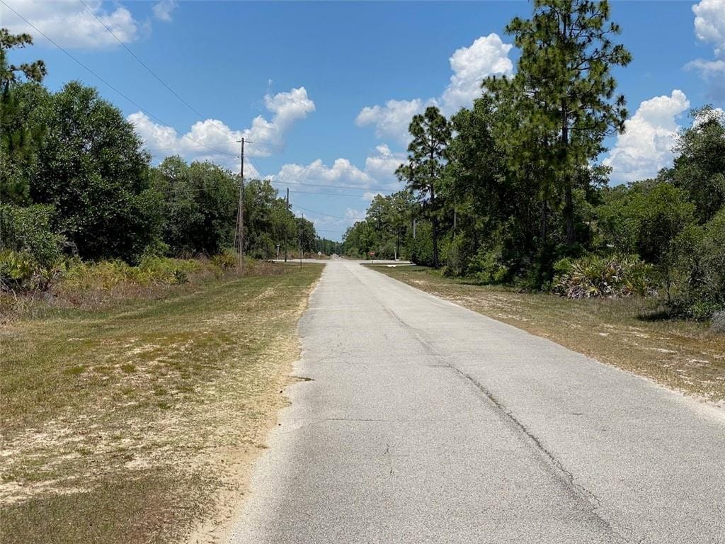 Lot 24 Indian Lake Drive — photo 10
