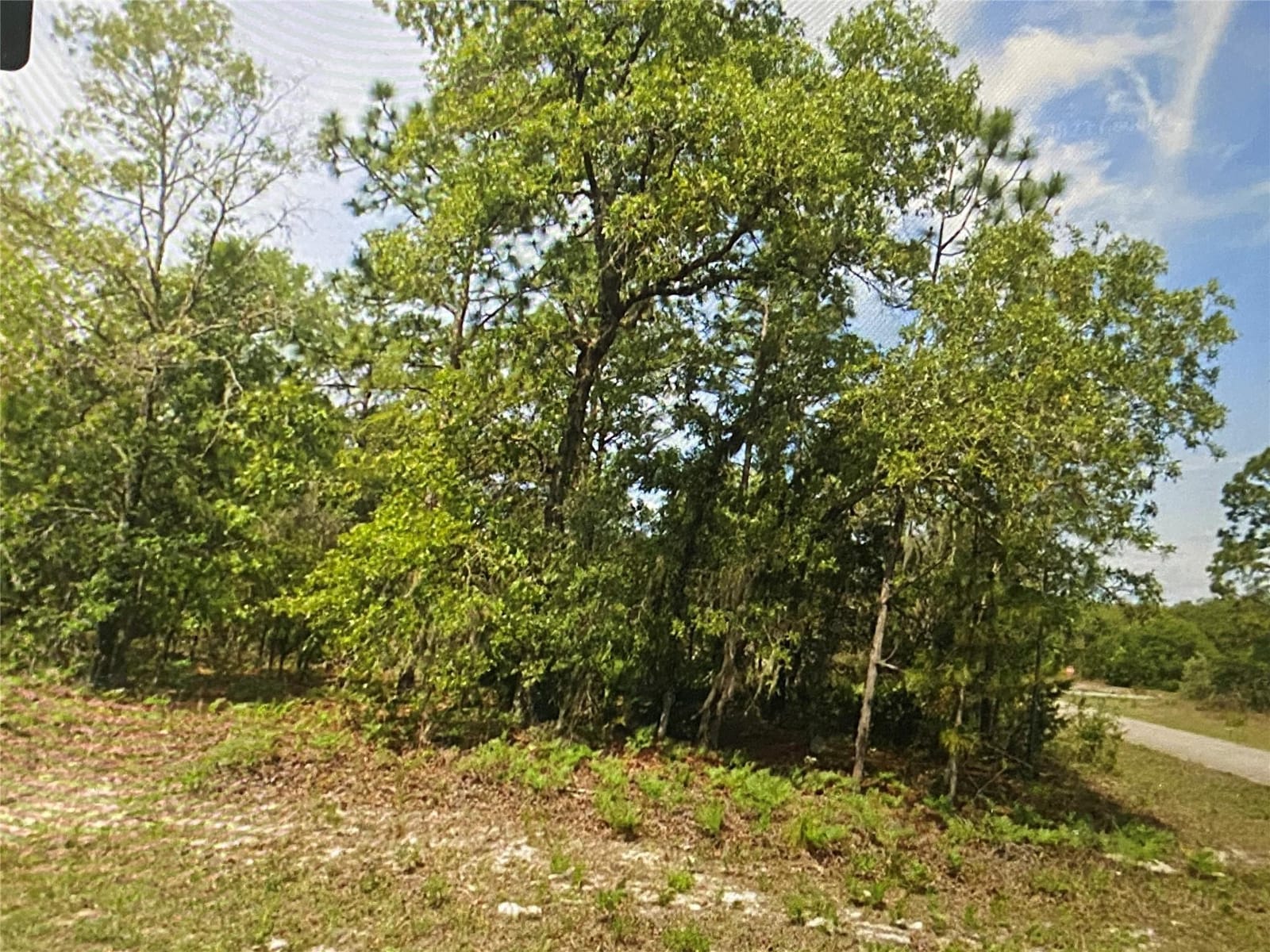 6689 N Bedstrow Boulevard — photo 3