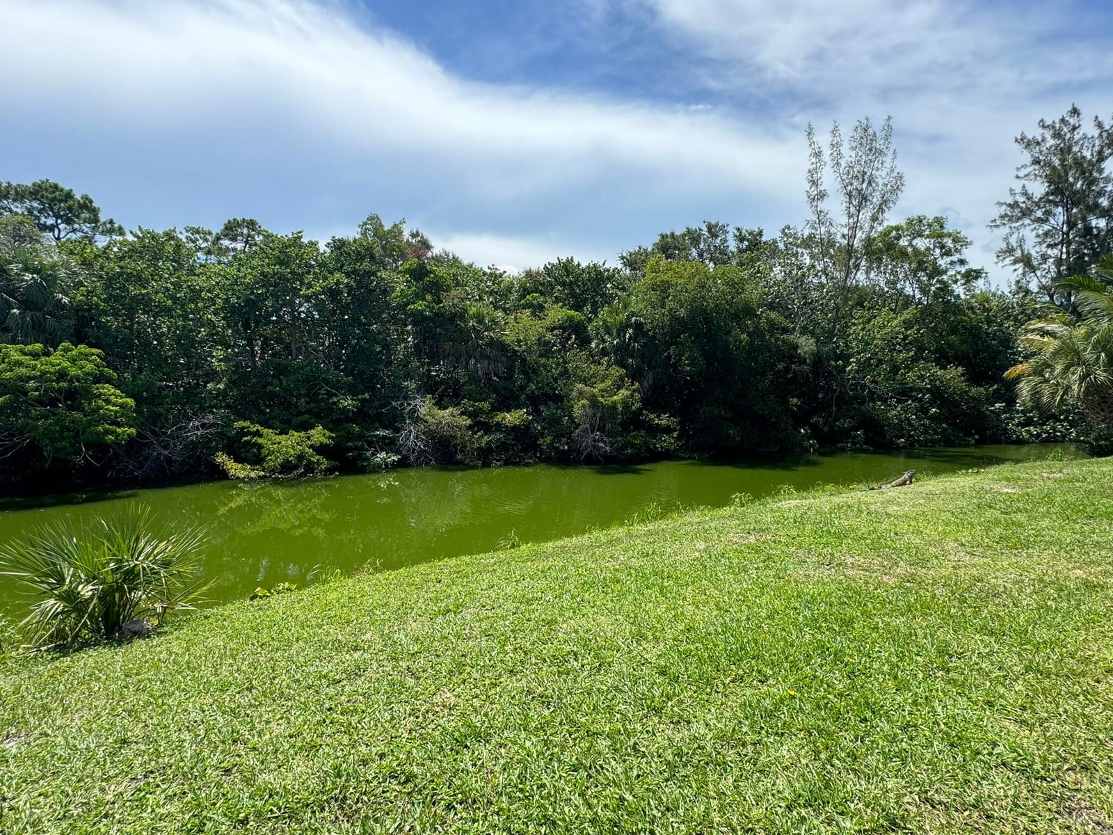 86 Northampton E, West Palm Beach, FL 33417 photo 5
