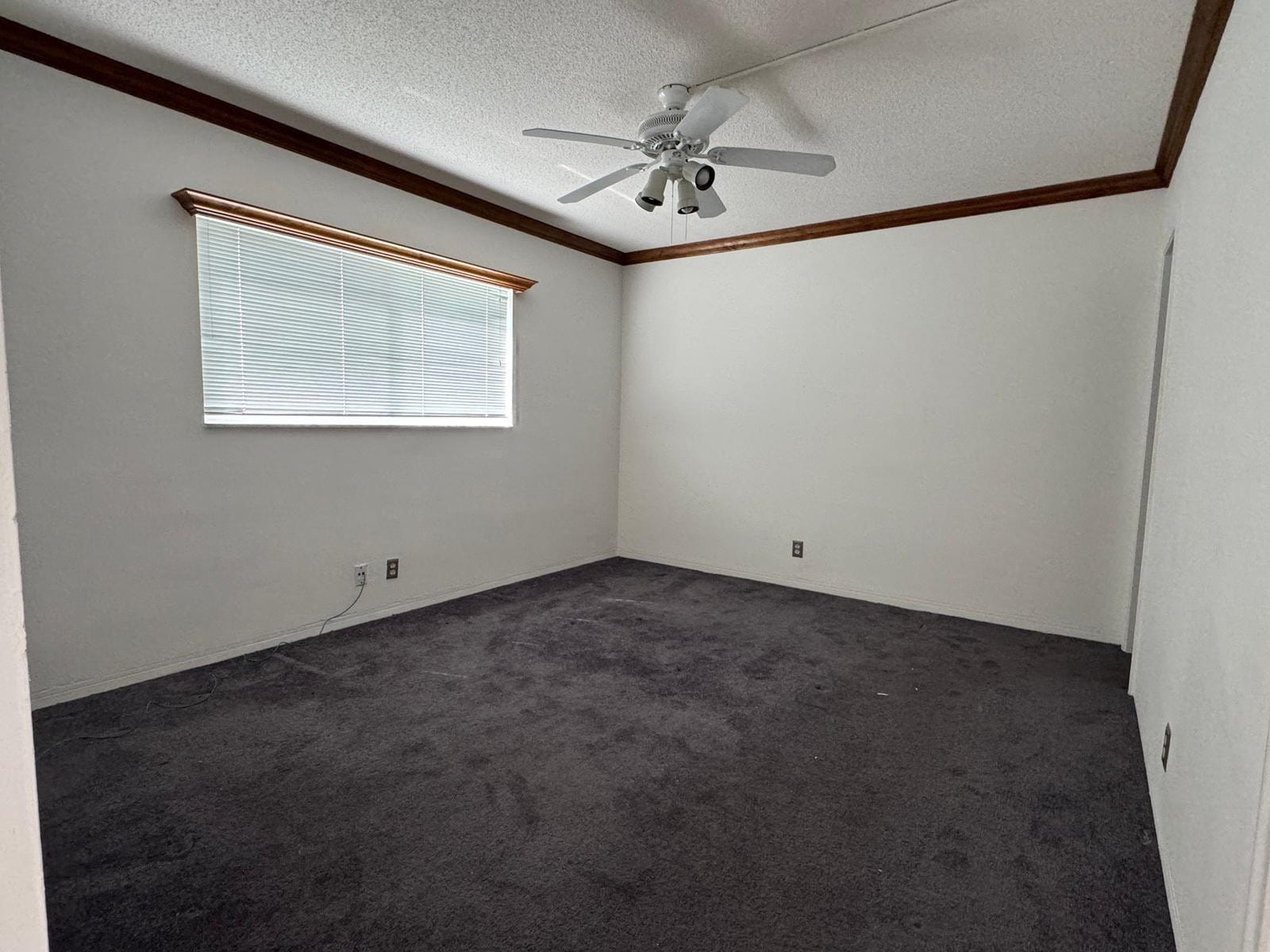 1100 Pine Drive 108, Pompano Beach, FL 33060 photo 14