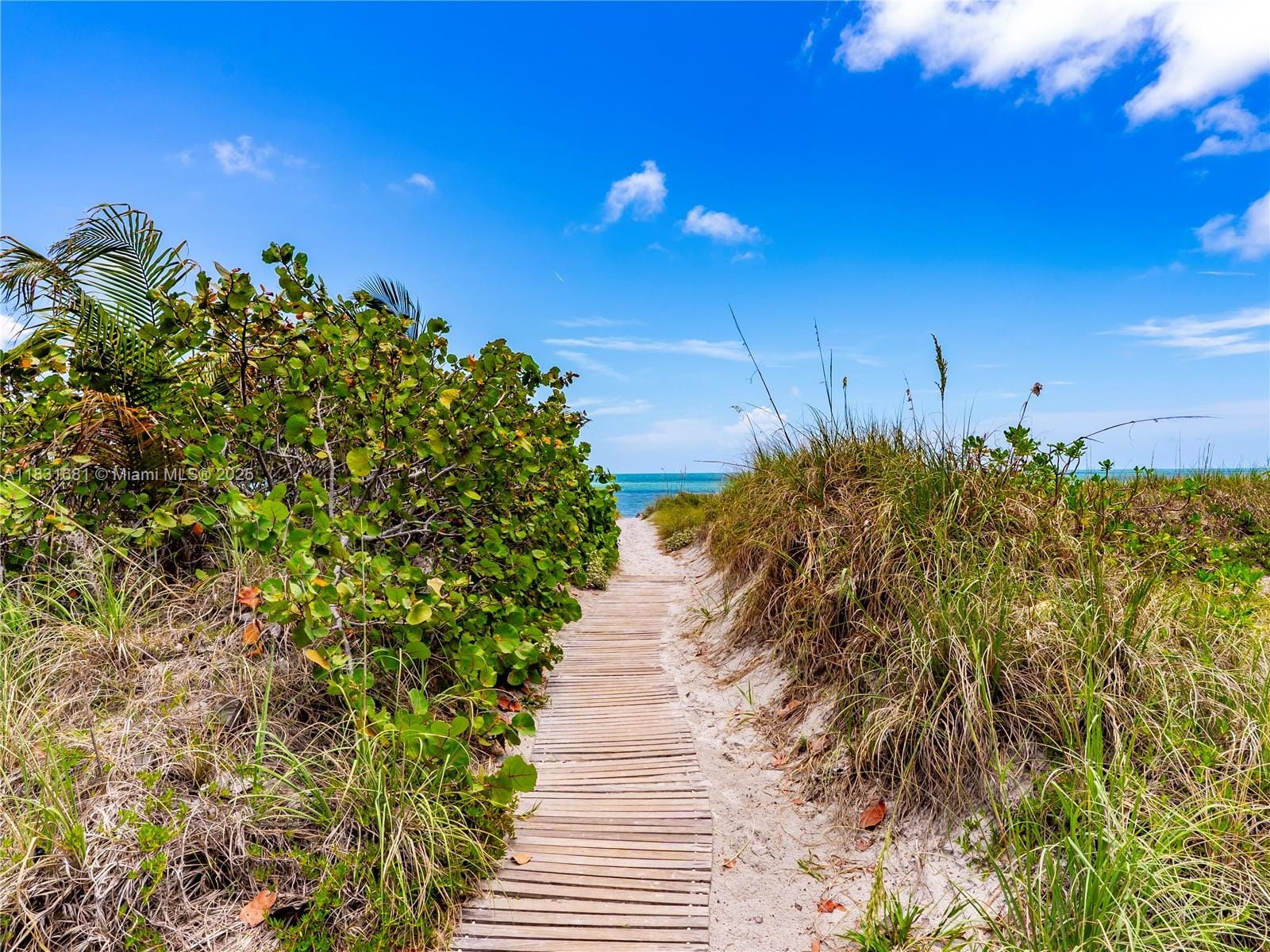 101 Crandon Boulevard 178, Key Biscayne, FL 33149 photo 20