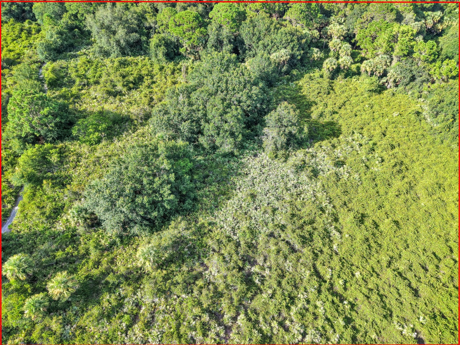 100 NW 38th Avenue, Okeechobee, FL 34972 photo 11