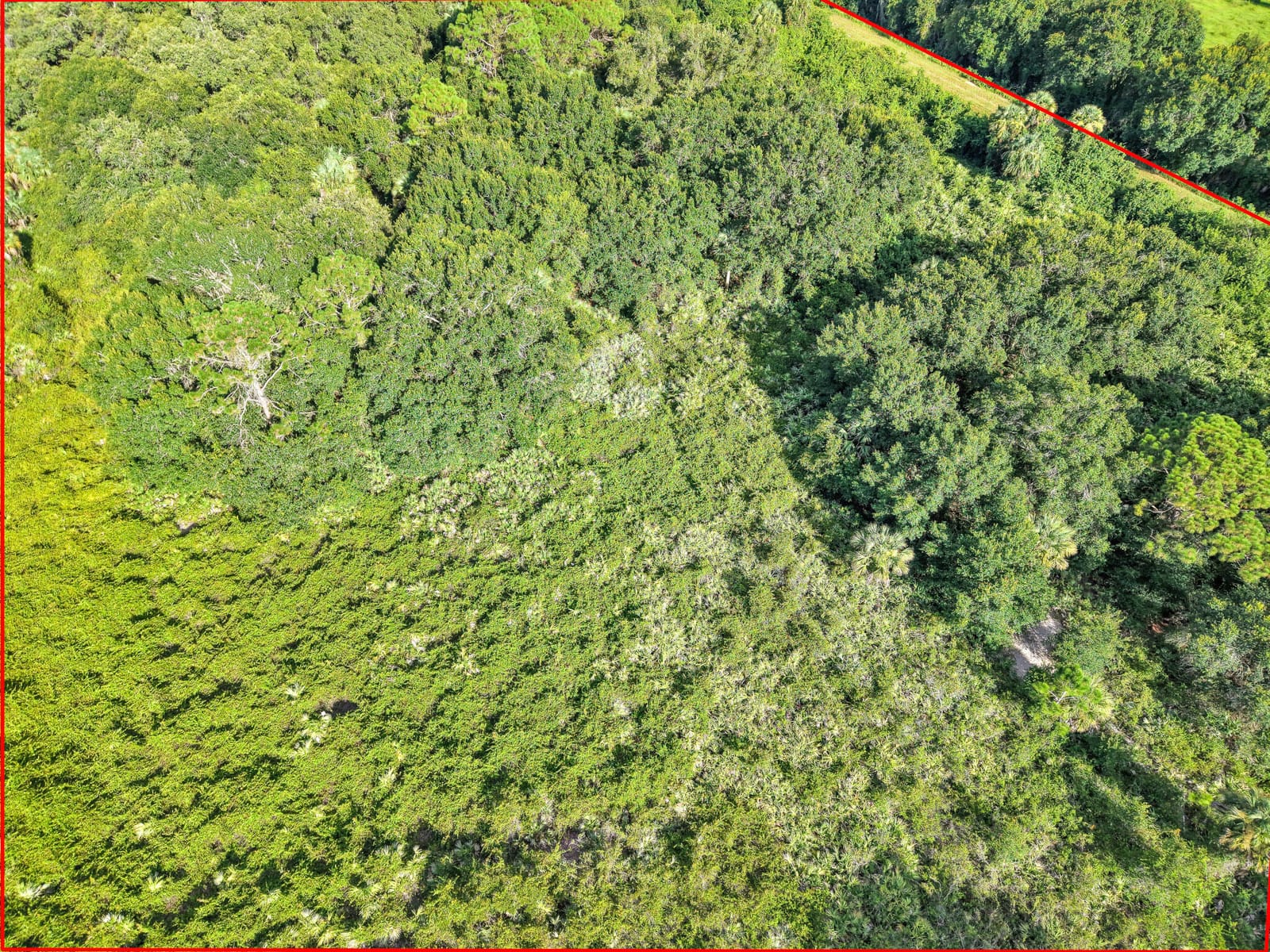 100 NW 38th Avenue, Okeechobee, FL 34972 photo 13